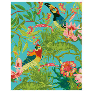 RHS Paint by Numbers Kit Tropical Birds